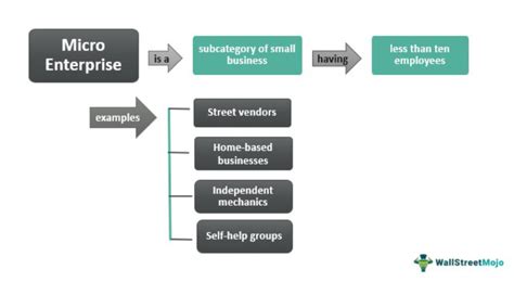 Microenterprise: Definition, Types, Example.